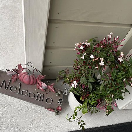 Waldighoffen Tulipes Et Cetera酒店 外观 照片